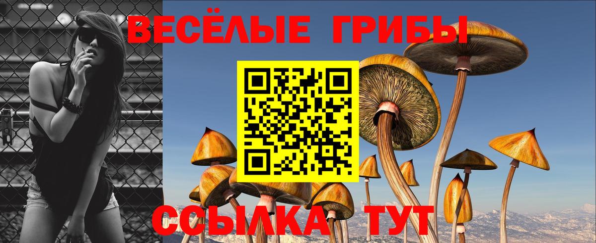 Галлюциногенные грибы Magic Shrooms  Вход с VPN  закладки  Псилоцибиновые грибы мухоморы  Спасск-Дальний 